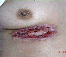 bevictor伟德官网-韦德官方网站