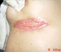 bevictor伟德官网-韦德官方网站