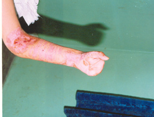 bevictor伟德官网-韦德官方网站