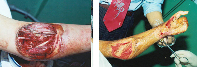 bevictor伟德官网-韦德官方网站