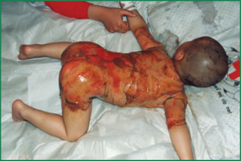 bevictor伟德官网-韦德官方网站