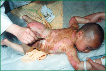 bevictor伟德官网-韦德官方网站