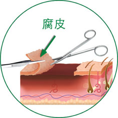 bevictor伟德官网-韦德官方网站