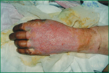 bevictor伟德官网-韦德官方网站