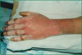 bevictor伟德官网-韦德官方网站