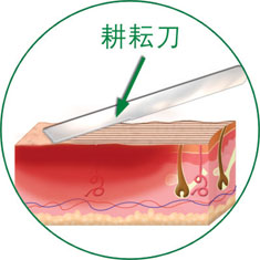 bevictor伟德官网-韦德官方网站