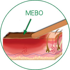 bevictor伟德官网-韦德官方网站