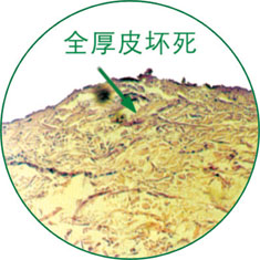 bevictor伟德官网-韦德官方网站