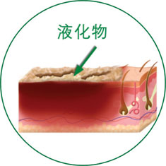 bevictor伟德官网-韦德官方网站