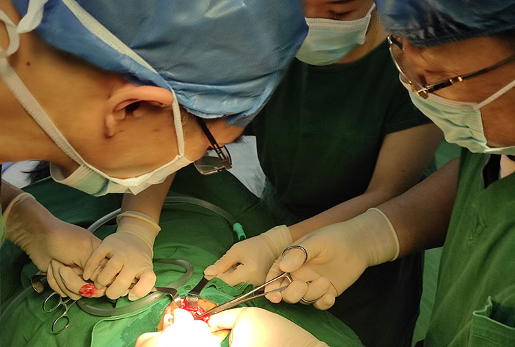 bevictor伟德官网-韦德官方网站