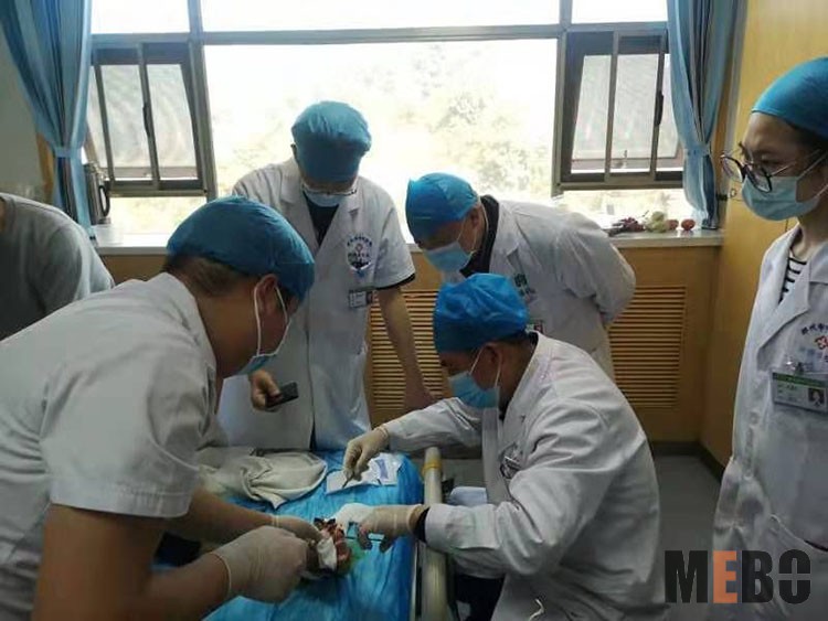 bevictor伟德官网-韦德官方网站