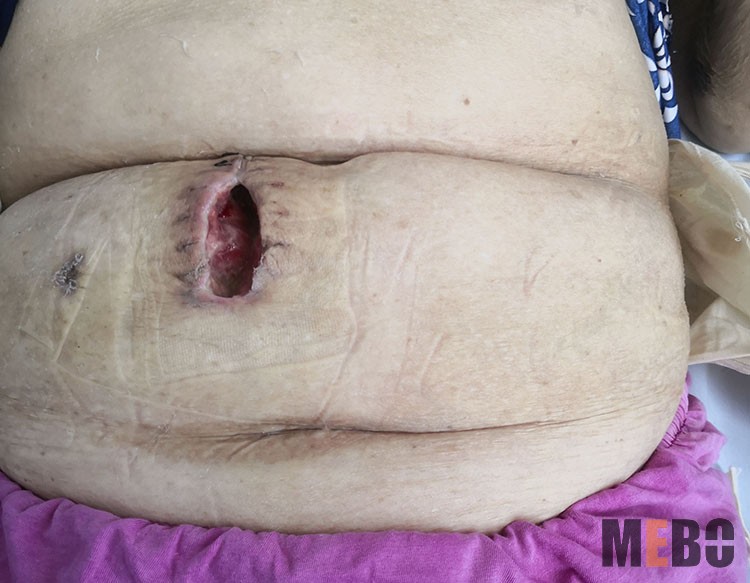 bevictor伟德官网-韦德官方网站