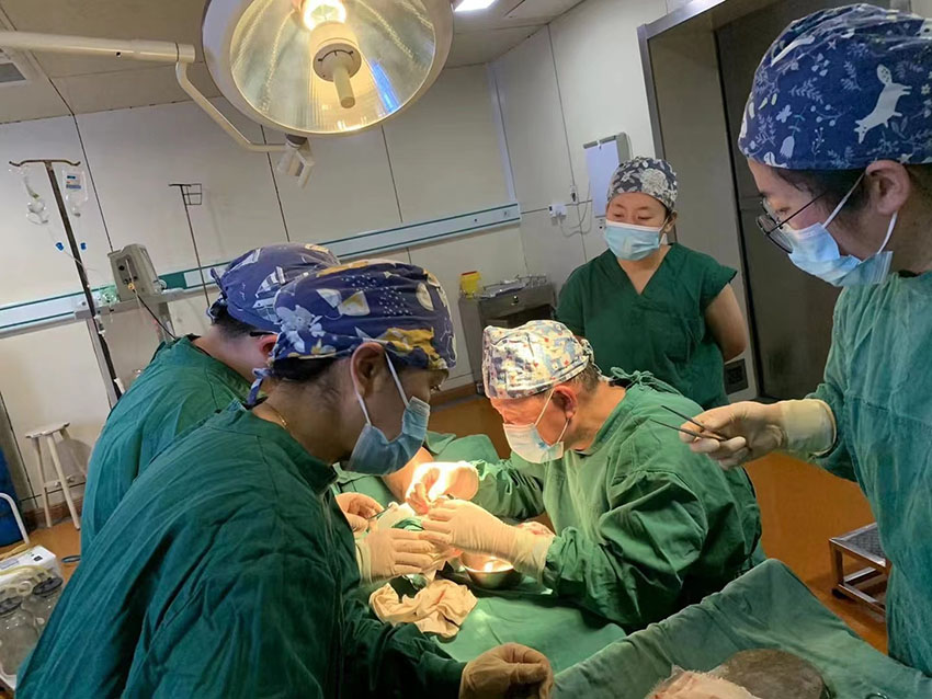 bevictor伟德官网-韦德官方网站