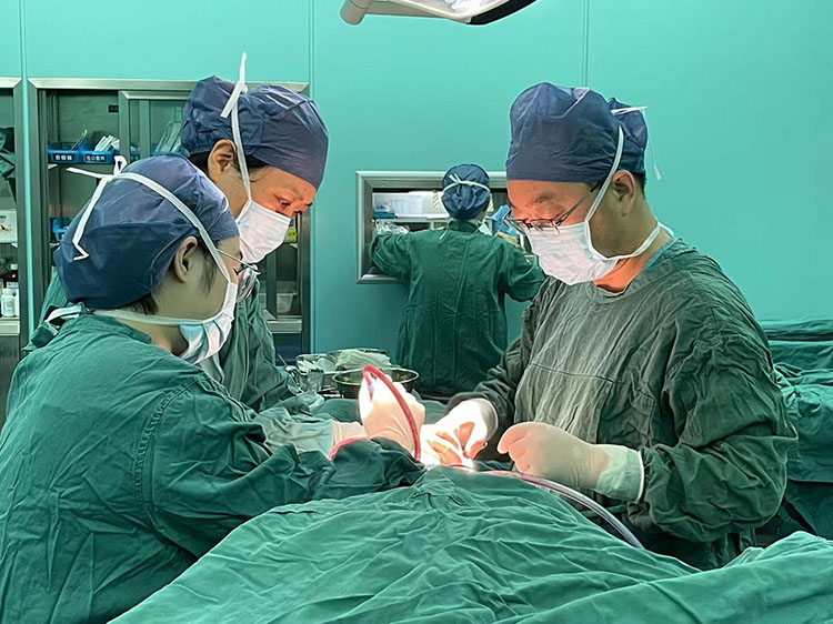 bevictor伟德官网-韦德官方网站