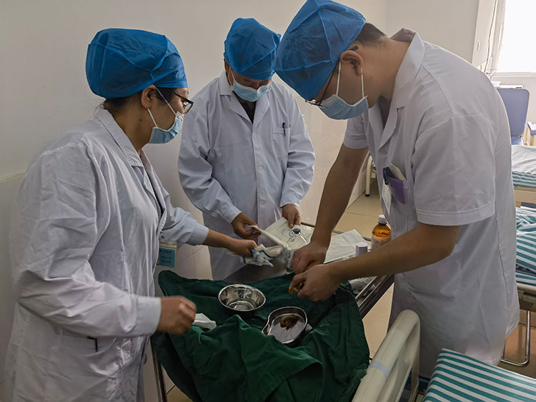 bevictor伟德官网-韦德官方网站