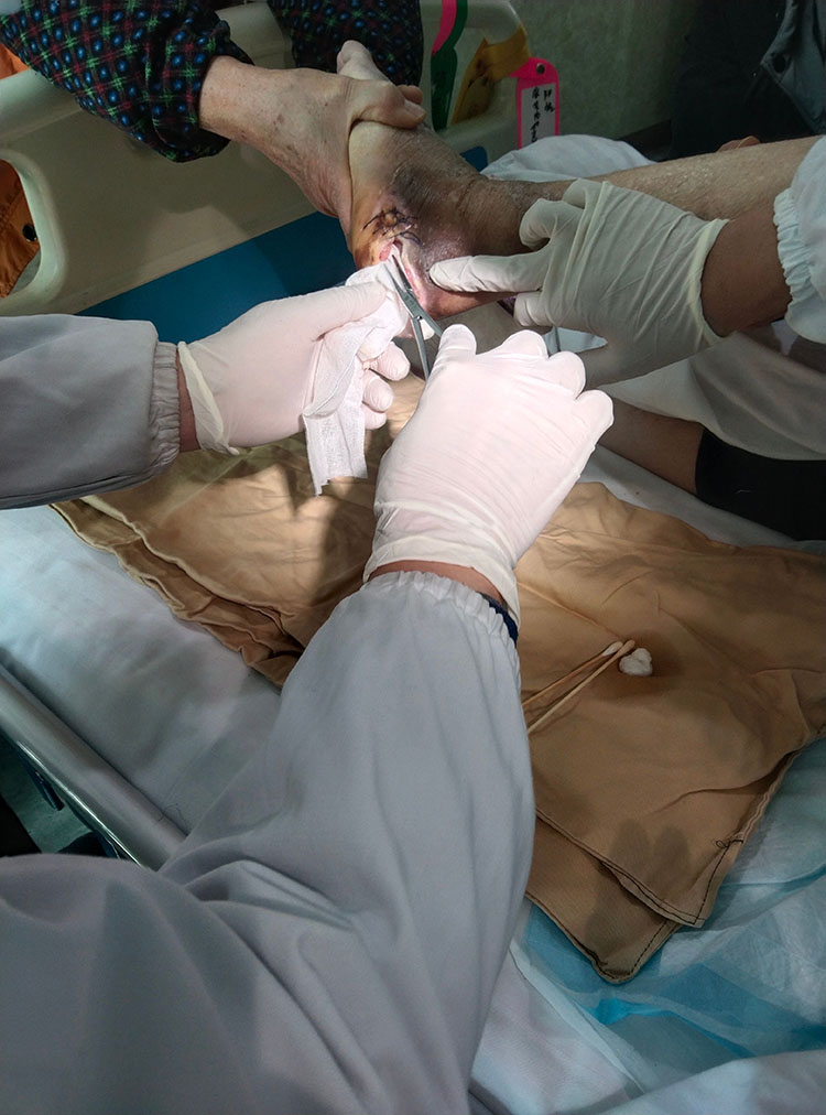 bevictor伟德官网-韦德官方网站