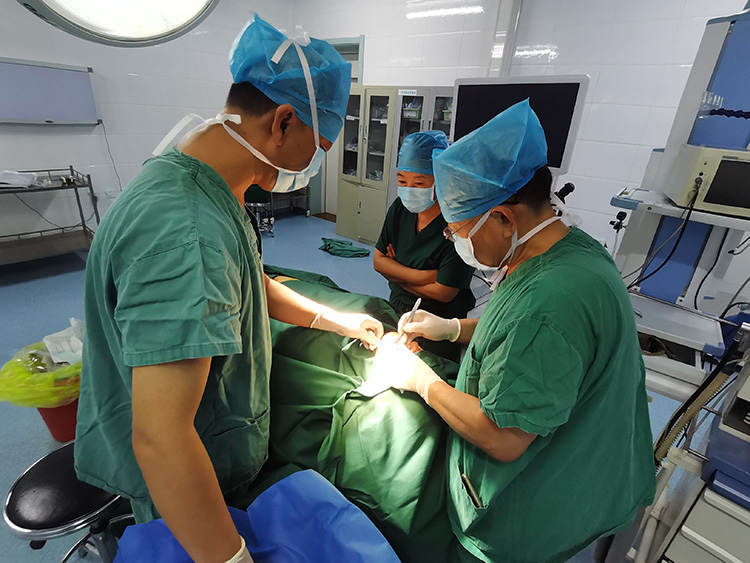 bevictor伟德官网-韦德官方网站