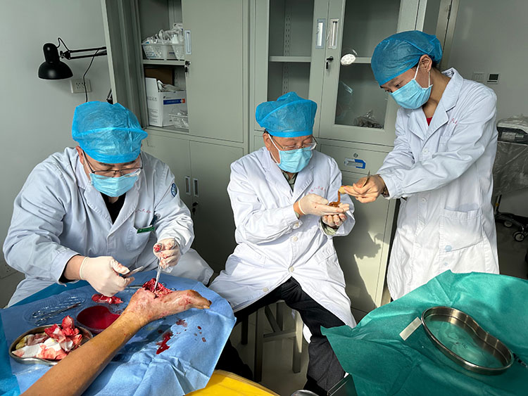 bevictor伟德官网-韦德官方网站