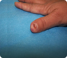 bevictor伟德官网-韦德官方网站