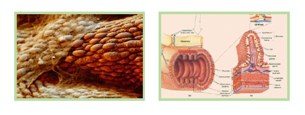 bevictor伟德官网-韦德官方网站