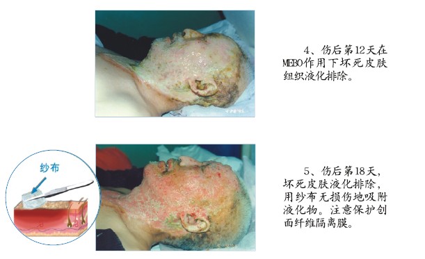 bevictor伟德官网-韦德官方网站