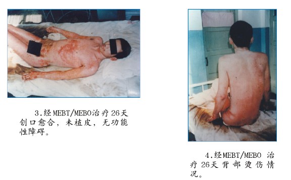 bevictor伟德官网-韦德官方网站