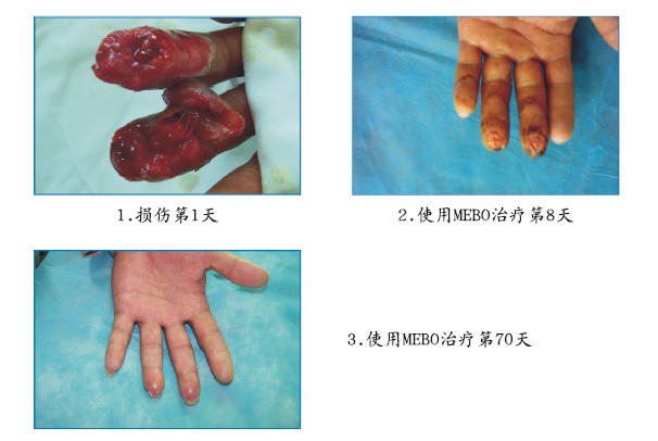 bevictor伟德官网-韦德官方网站