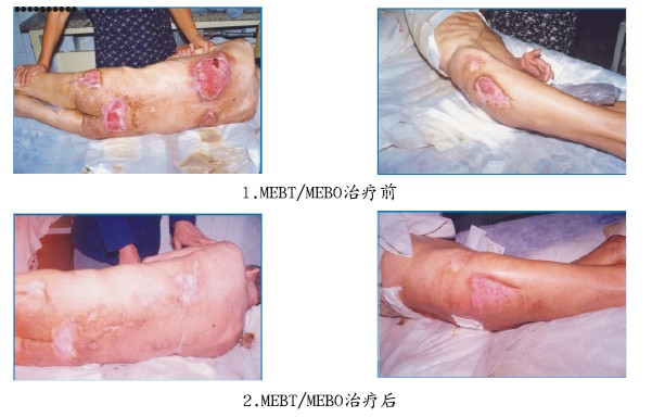 bevictor伟德官网-韦德官方网站