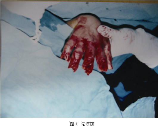 bevictor伟德官网-韦德官方网站