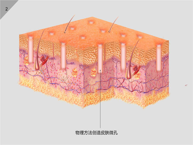 bevictor伟德官网-韦德官方网站