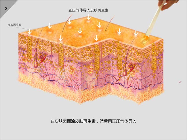 bevictor伟德官网-韦德官方网站