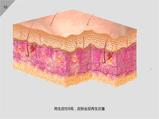 bevictor伟德官网-韦德官方网站